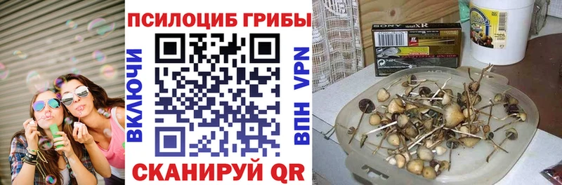 kraken маркетплейс  Дагестанские Огни  Галлюциногенные грибы ЛСД  что такое  