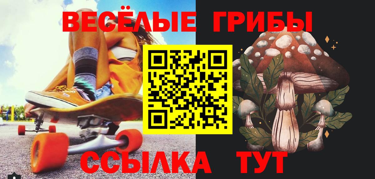 Галлюциногенные грибы ЛСД Дагестанские Огни