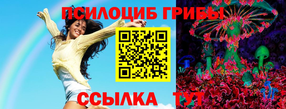 Дагестанские Огни  Галлюциногенные грибы мицелий  Псилоцибиновые грибы прущие грибы  Вход с VPN 
